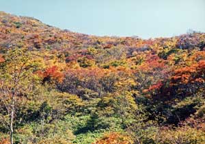 朝日岳・隠居倉（那須）