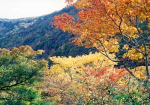 朝日岳・隠居倉（那須）