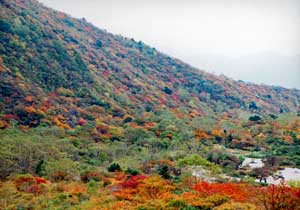 朝日岳・隠居倉（那須）