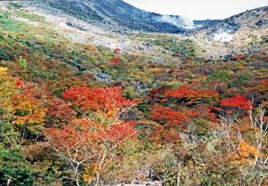 朝日岳・隠居倉（那須）