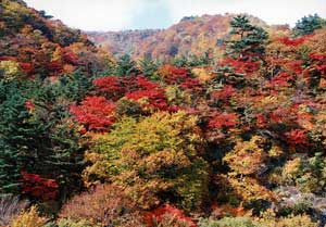 霧降の滝－安達太良山