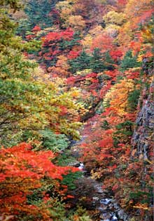 霧降の滝－安達太良山