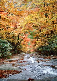 霧降の滝－安達太良山