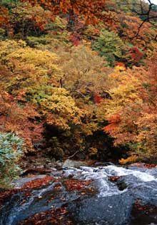 霧降の滝－安達太良山