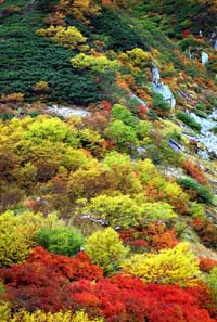 木曽駒ケ岳
