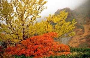 木曽駒ケ岳