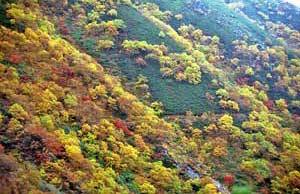 木曽駒ケ岳