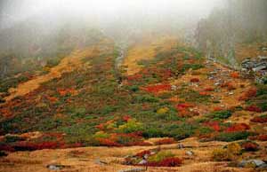 木曽駒ケ岳