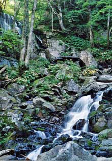 西大巓・西吾妻山