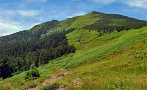 西大巓・西吾妻山
