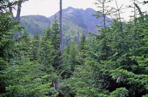 奥白根山