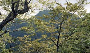 荒海山