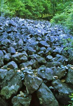 庚申山