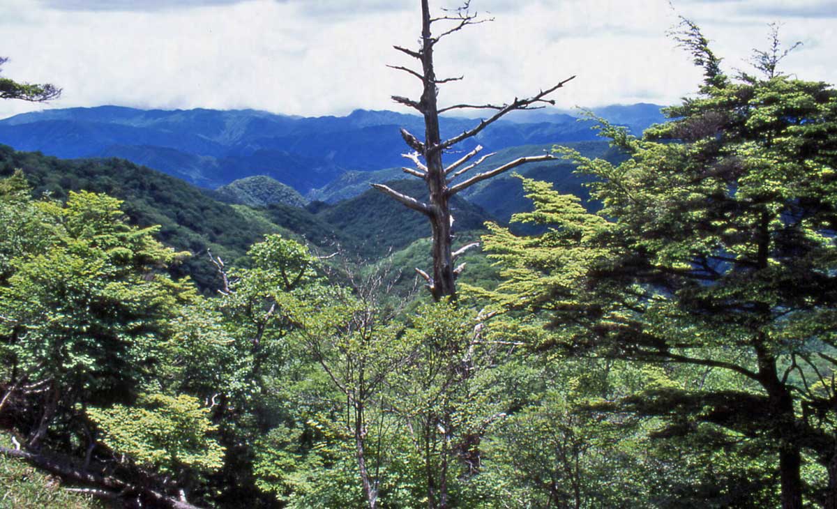 庚申山