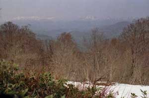 志津倉山