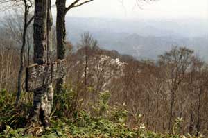 志津倉山