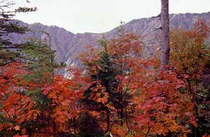 燕岳