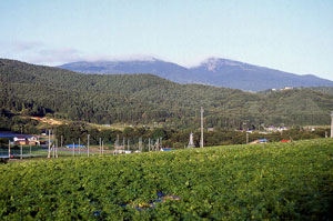 四阿山・根子岳
