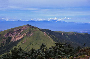四阿山・根子岳