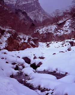 雲竜渓谷