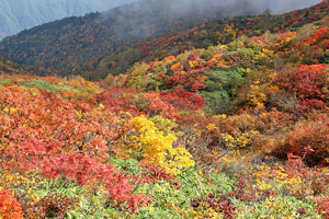 栗駒山