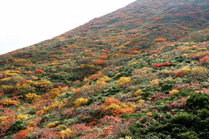 栗駒山