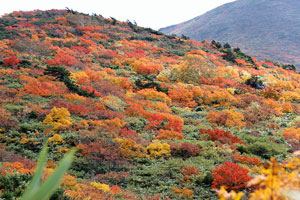 栗駒山