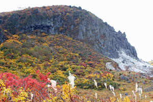 栗駒山
