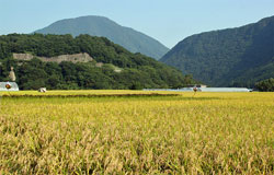 小野岳