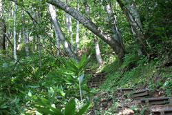 小野岳