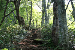 小野岳