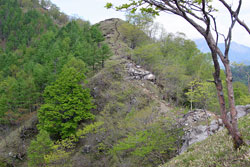 社山