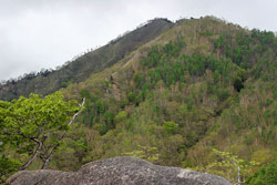 社山
