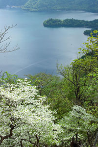 社山