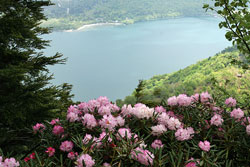 社山