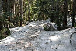 温泉ケ岳・金精山