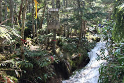 温泉ケ岳・金精山