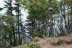 温泉ケ岳・金精山