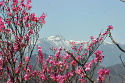 薬師岳・夕日岳・地蔵岳