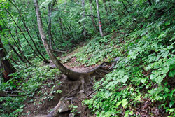 会津駒ケ岳