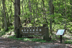 新湯富士