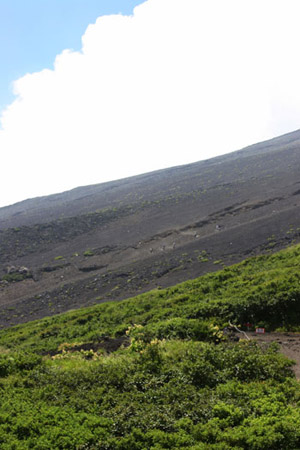 富士山