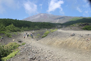 富士山