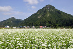 蒲生岳