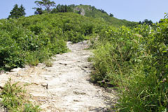蒲生岳