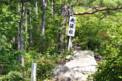 蒲生岳