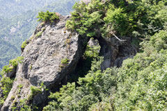 蒲生岳