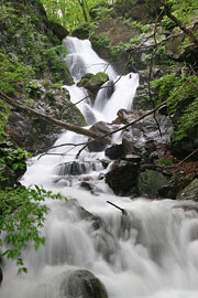 庚申山