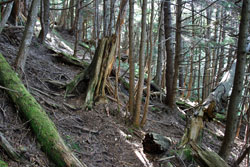 大真名子山・小真名子山