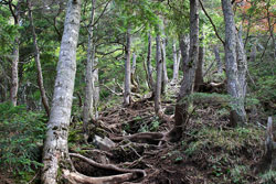 大真名子山・小真名子山
